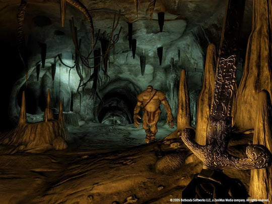 The Elder Scrolls IV: Oblivion GOTY Edition Deluxe PC Steam CD Key