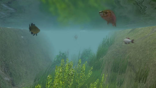 European Fishing Steam CD Key
