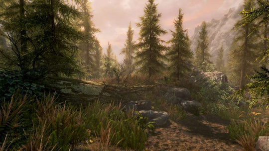 The Elder Scrolls V: Skyrim Special Edition PC Steam CD Key