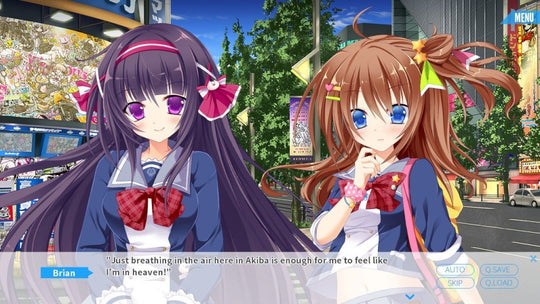 Japanese School Life PC Steam CD Key