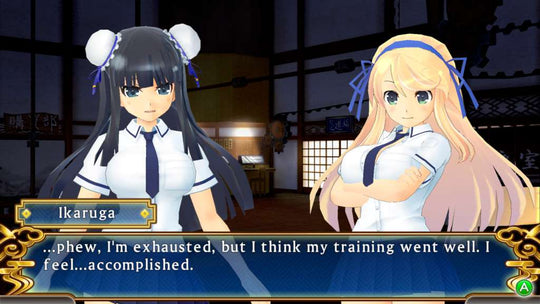 Senran Kagura Shinovi Versus Steam CD Key