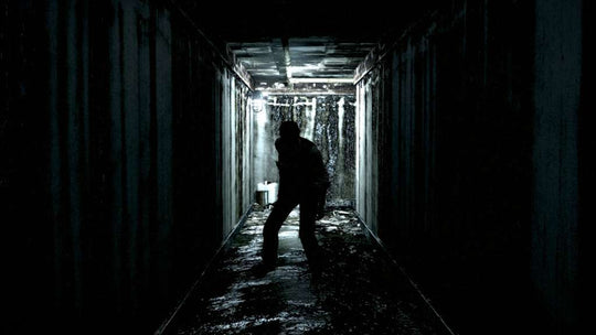 The Evil Within PC Steam CD Key