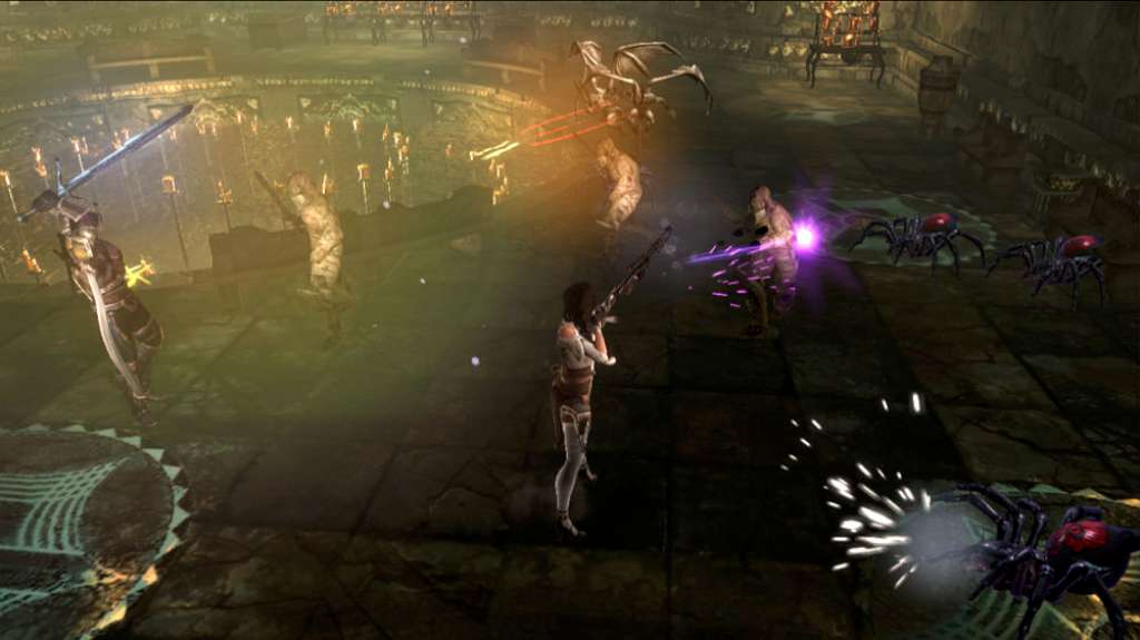Dungeon Siege III - Treasures of the Sun DLC PC Steam CD Key