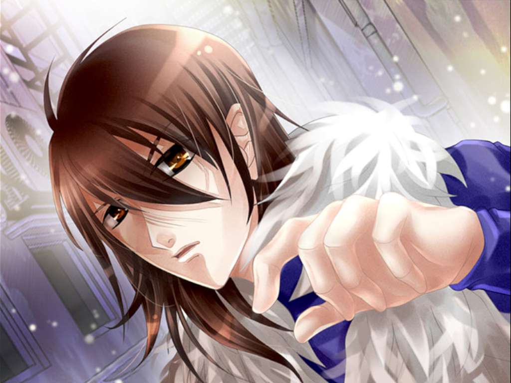 dUpLicity ~Beyond the Lies~ Steam CD Key