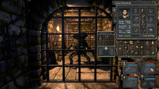 Legend of Grimrock PC Steam CD Key