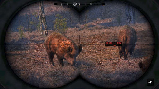 Cabela's Big Game Hunter Pro Hunts Steam CD Key