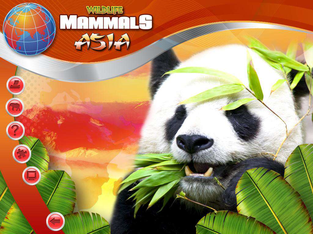Wildlife Creative Studio PC Steam CD Key