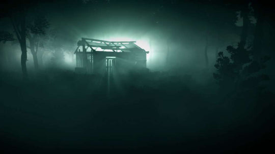 Wick Steam CD Key