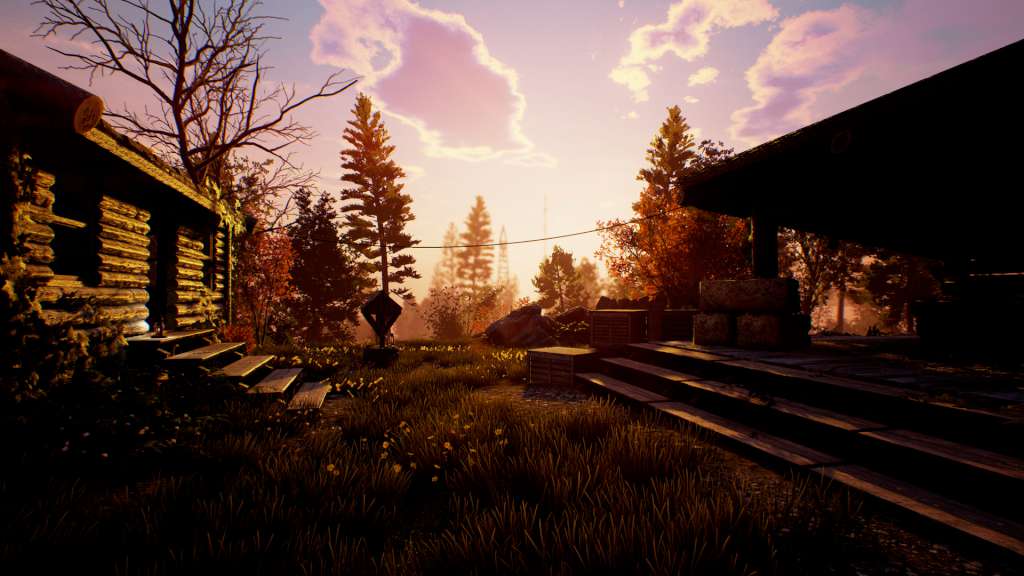 Lifeless Steam CD Key