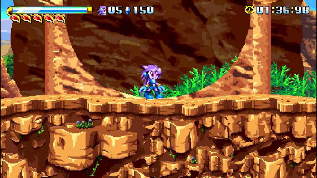 Freedom Planet PC Steam CD Key