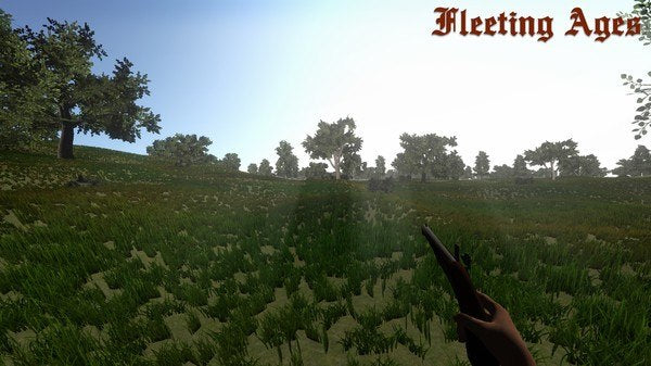 Fleeting Ages Steam CD Key