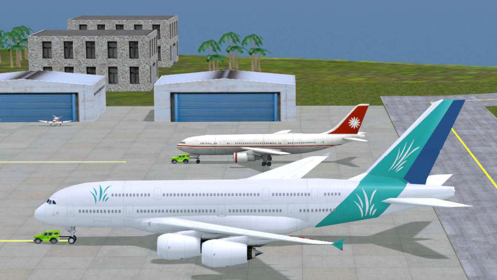 Airport Madness 3D PC Steam CD Key