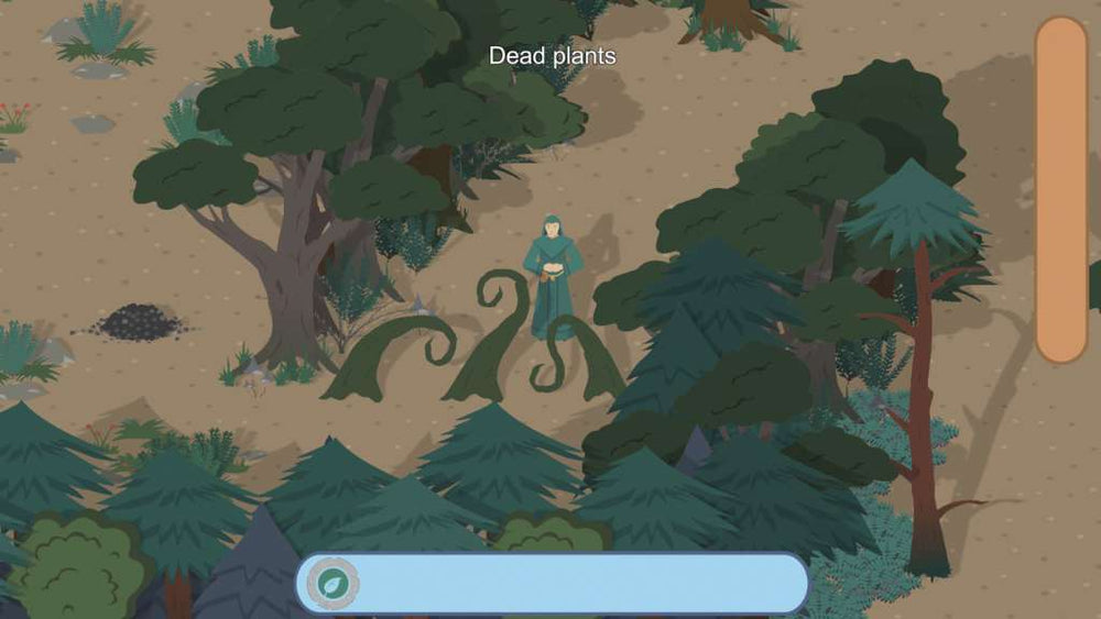 Druid Steam CD Key