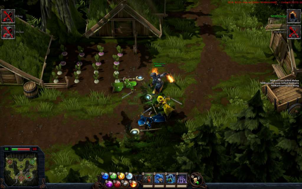 Magicka: Wizard Wars Starter Pack DLC Steam CD Key
