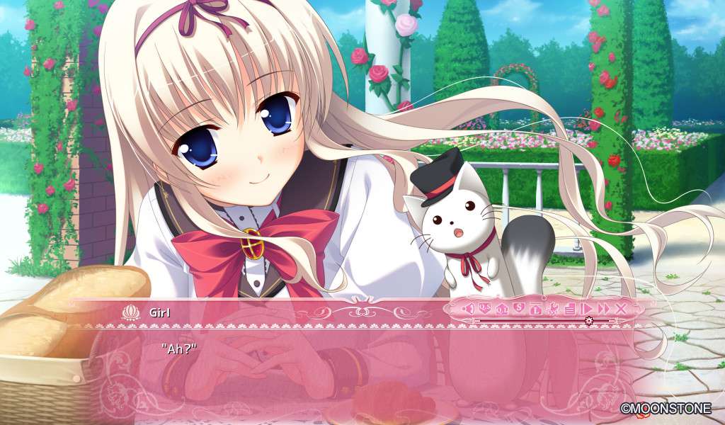 Princess Evangile All Ages Version Steam CD Key