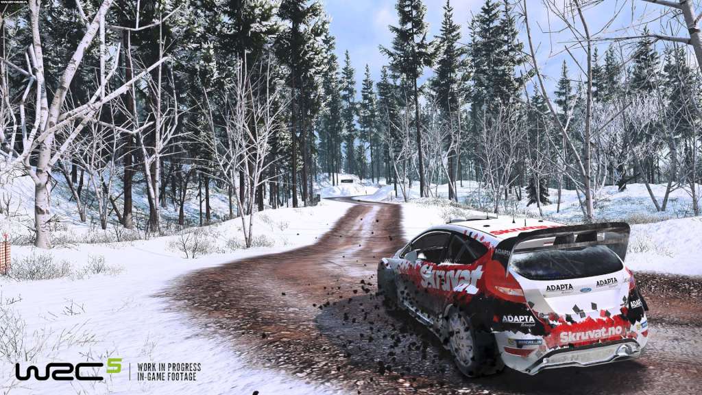 WRC 5 - FIA World Rally Championship Steam CD Key