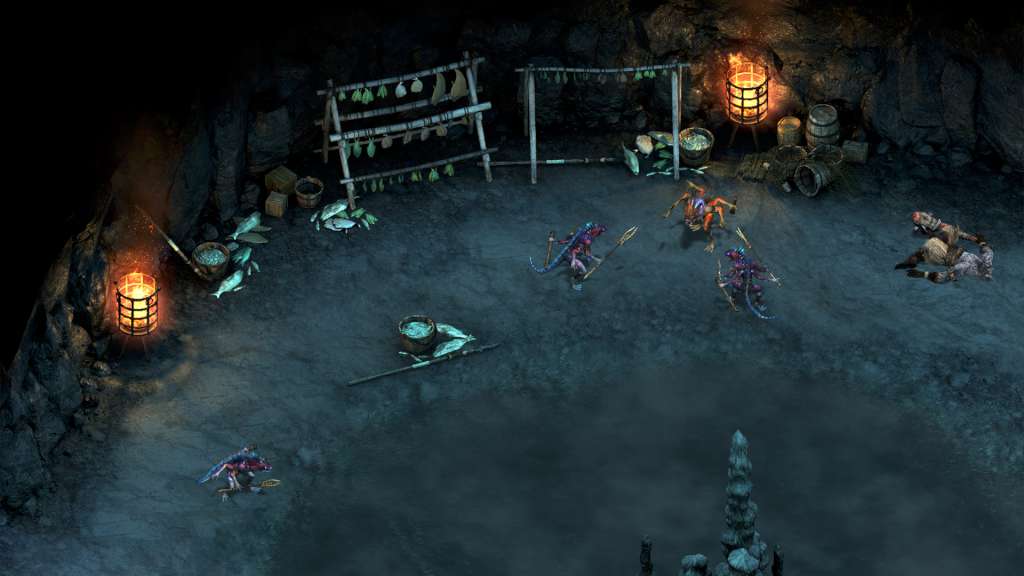 Pillars of Eternity - The White March Part I DLC Steam CD Key