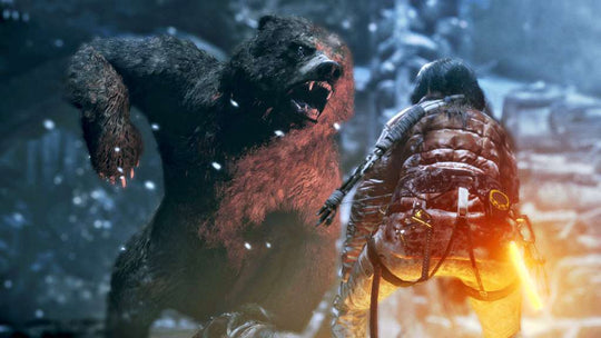 Rise of the Tomb Raider: 20 Year Celebration Edition Steam CD Key