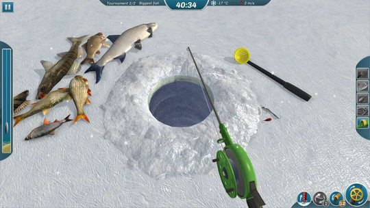 Ice Lakes PC Steam CD Key