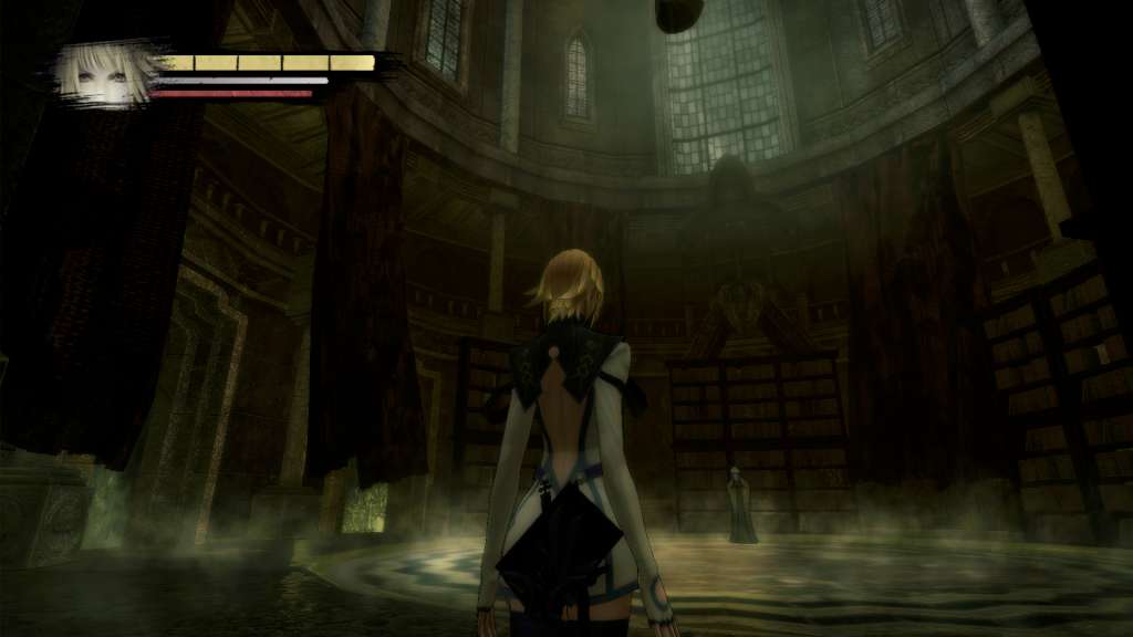 Anima: Gate of Memories PC Steam CD Key