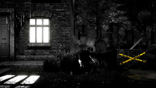 Renoir Steam CD Key