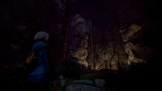 Through the Woods: Collector's Edition Steam CD Key