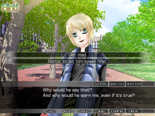 dUpLicity ~Beyond the Lies~ Steam CD Key