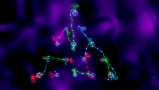 R.O.O.T.S Steam CD Key