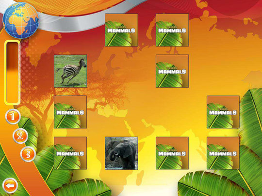 Wildlife Creative Studio PC Steam CD Key