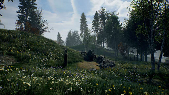 Lifeless Steam CD Key