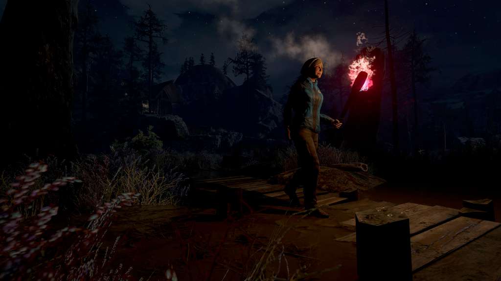 Through the Woods Steam CD Key