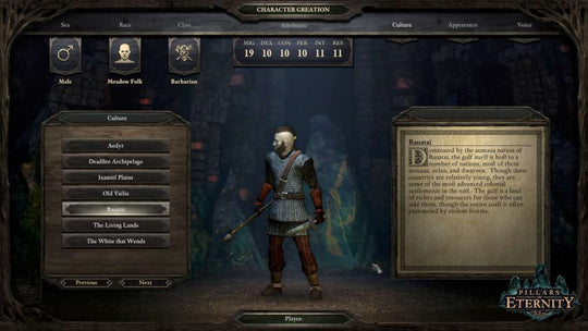Pillars of Eternity Hero Edition EU Steam CD Key
