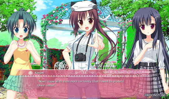 Princess Evangile All Ages Version Steam CD Key