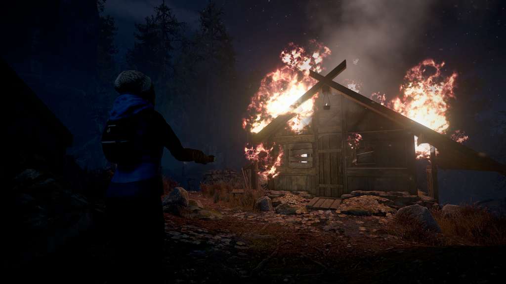 Through the Woods Steam CD Key