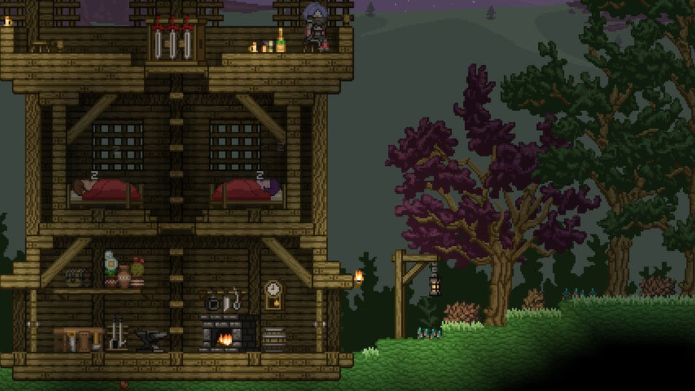 Starbound PC Steam CD Key