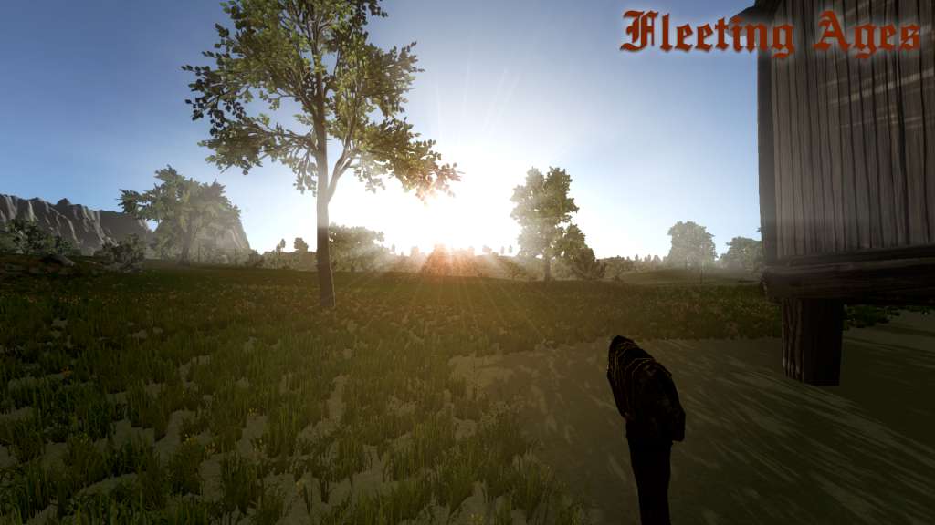 Fleeting Ages Steam CD Key