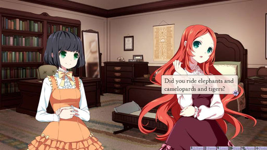A Little Lily Princess Steam CD Key