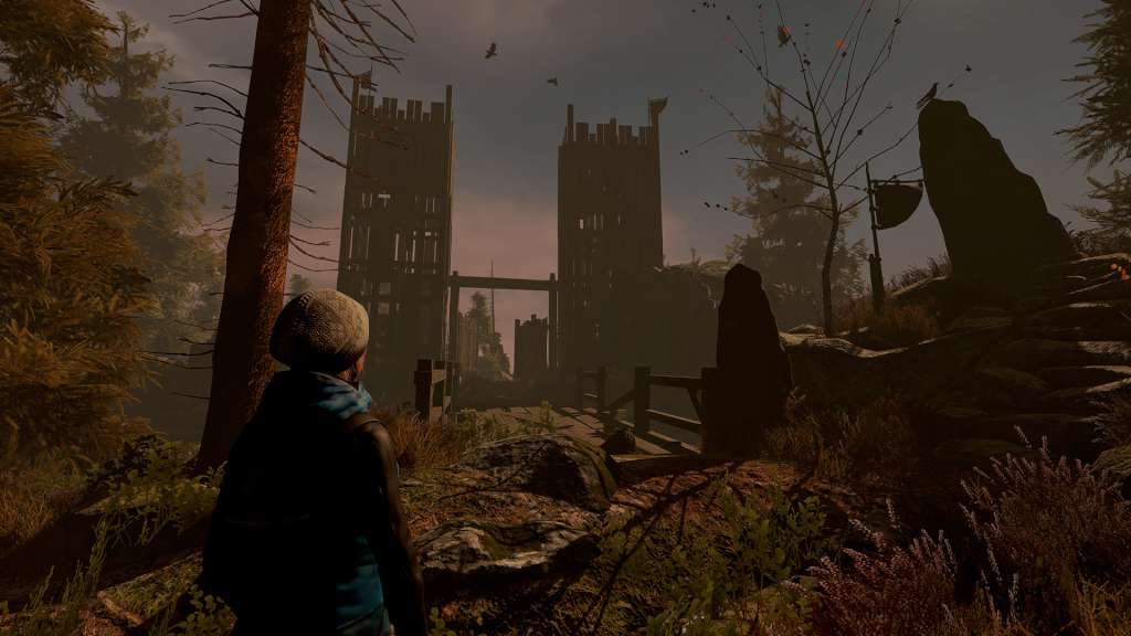 Through the Woods: Collector's Edition Steam CD Key