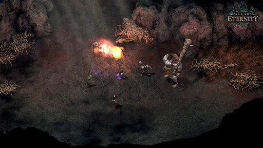 Pillars of Eternity Hero Edition EU Steam CD Key