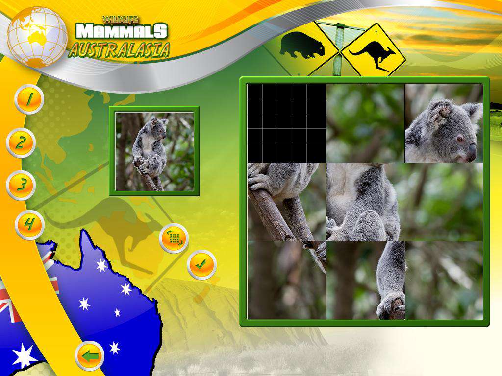 Wildlife Creative Studio PC Steam CD Key