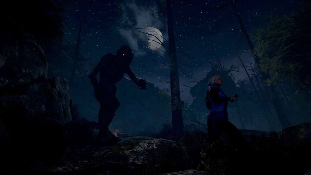 Through the Woods Steam CD Key