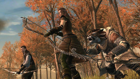 Guild Wars 2 Heroic Edition Digital Download CD Key