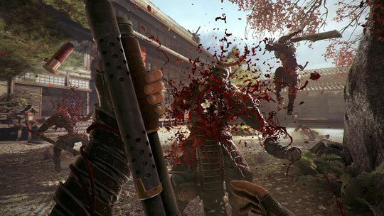 Shadow Warrior 2 EU Steam CD Key
