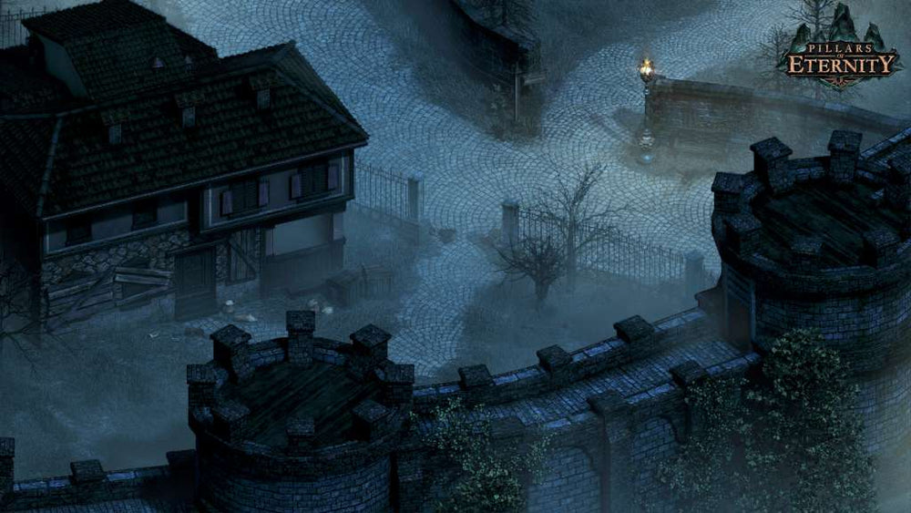 Pillars of Eternity Hero Edition Steam CD Key