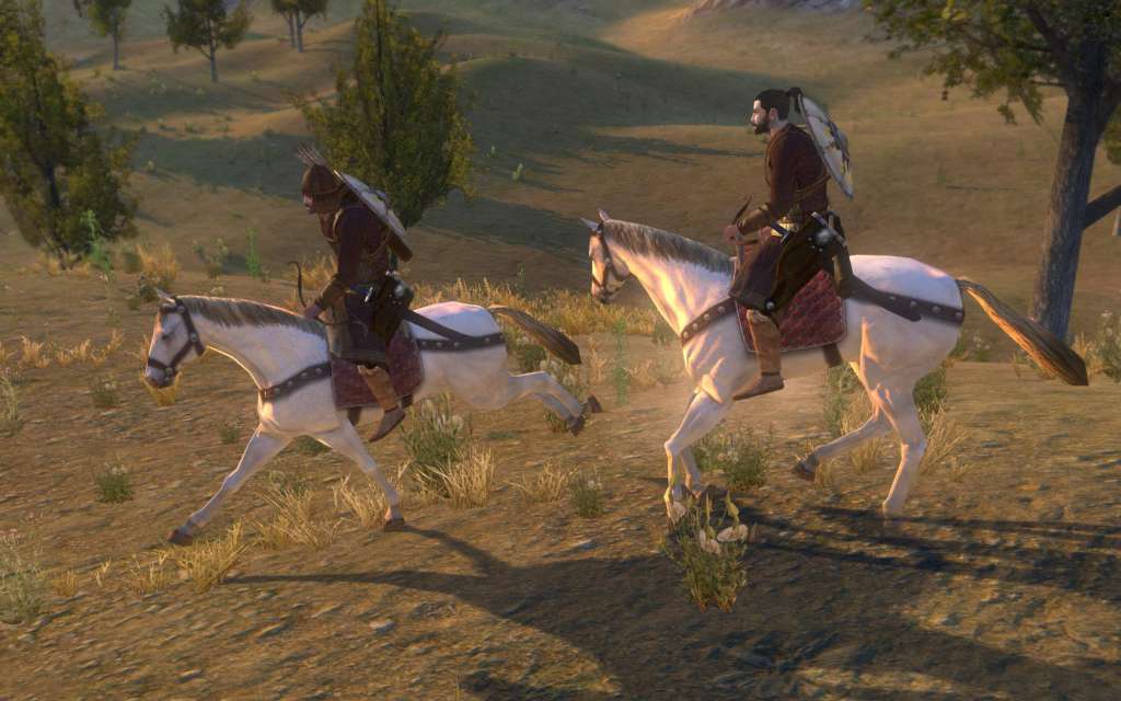 Mount & Blade: Warband PC Steam CD Key