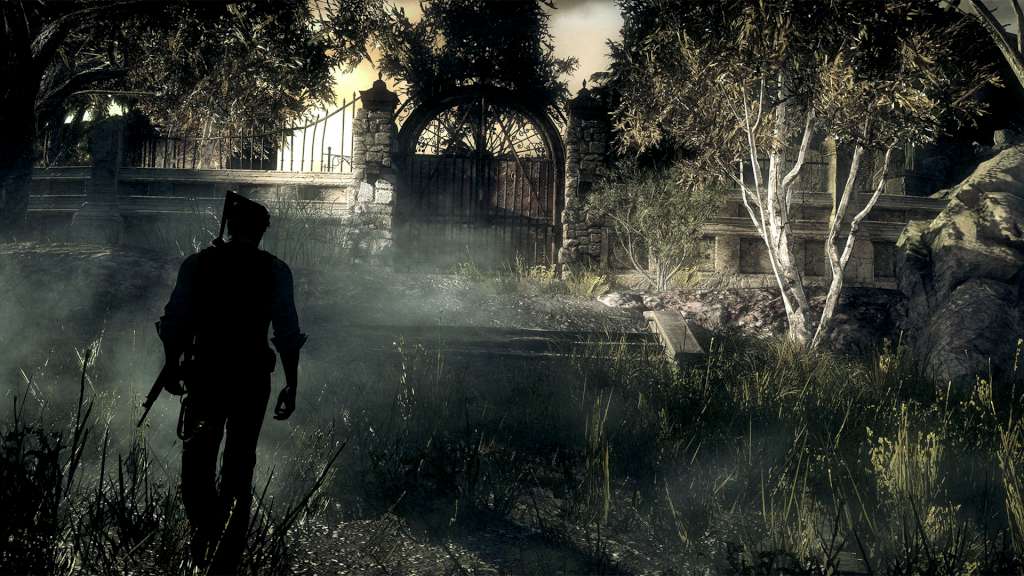 The Evil Within PC Steam CD Key