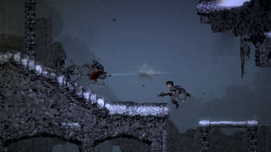 Salt and Sanctuary PC Steam CD Key