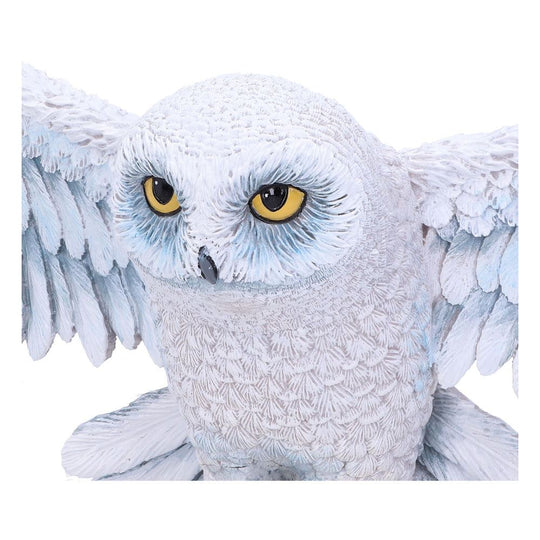 HARRY POTTER - Hedwig - Wall Plaque 45cm