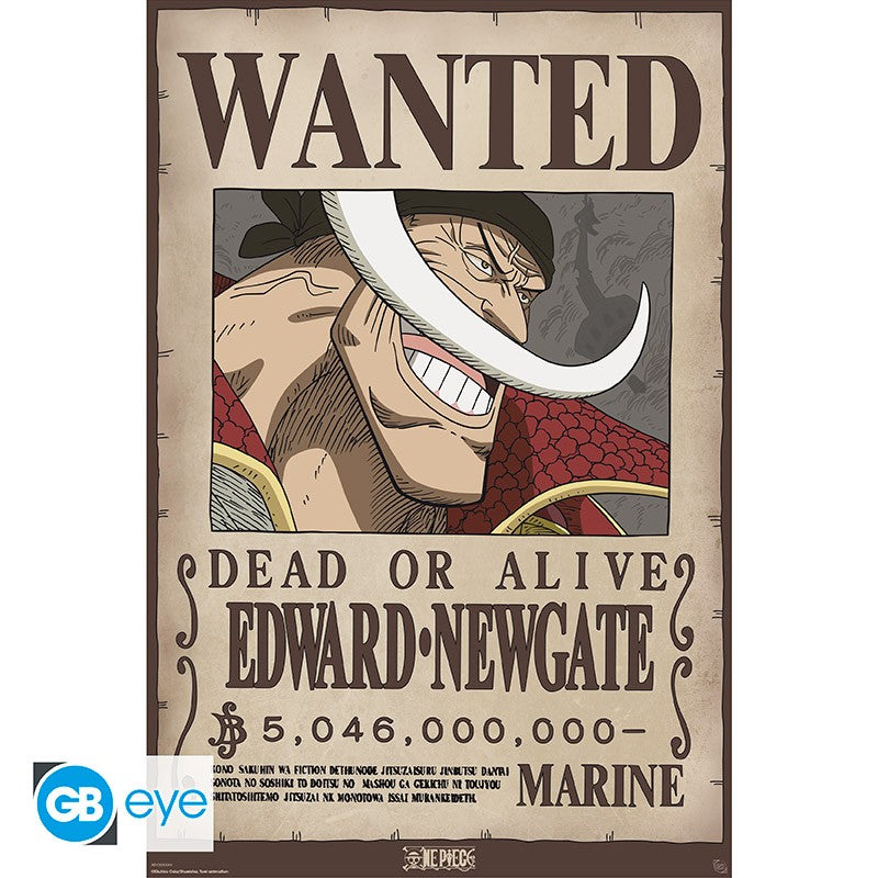 ONE PIECE - Wanted Whitebeard - Poster 91x61cm