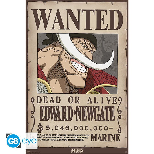 ONE PIECE - Wanted Whitebeard - Poster 91x61cm